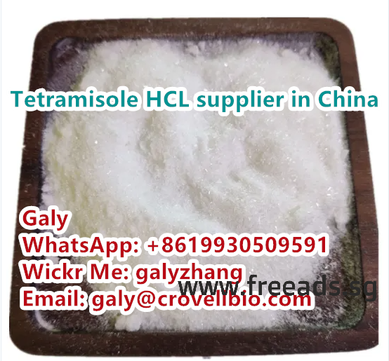 Tetramisole hydrochloride CAS:5086-74-8 whatsapp:+86 19930509591