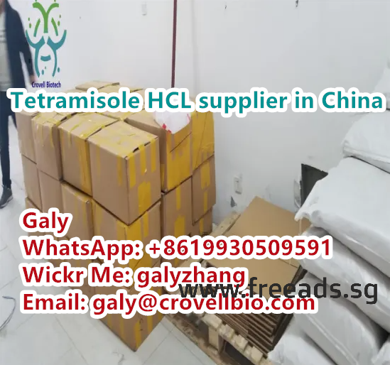 Tetramisole hydrochloride CAS:5086-74-8 supplier in China whatsapp:+86 19930509591