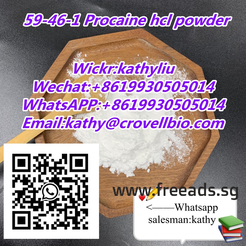 Procaine manufacturer supply CAS 59-46-1 Procaine hcl powder with China factory price +8619930505014