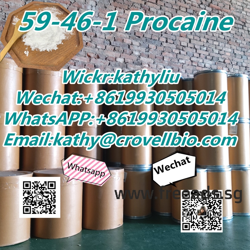 Procaine manufacturer supply CAS 59-46-1 Procaine hcl powder with China factory price +8619930505014