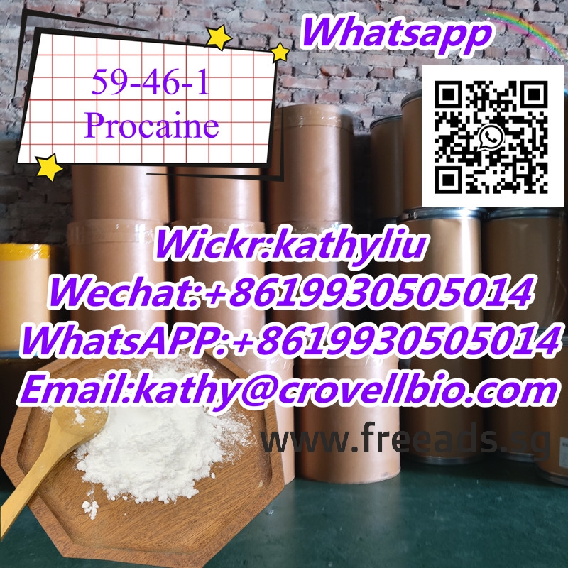 Procaine manufacturer supply CAS 59-46-1 Procaine hcl powder with China factory price +8619930505014