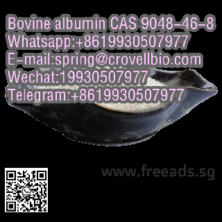 Bovine albumin CAS 9048-46-8 with best price and fast delivery +8619930507977