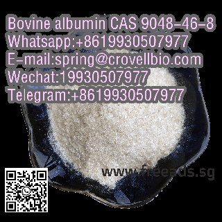 Bovine albumin CAS 9048-46-8 with best price and fast delivery +8619930507977