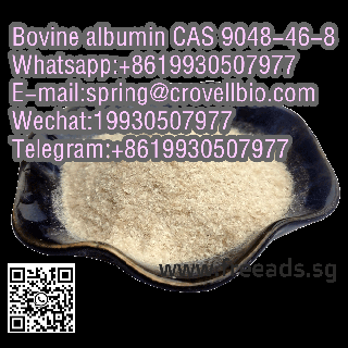 Bovine albumin CAS 9048-46-8 with best price and fast delivery +8619930507977