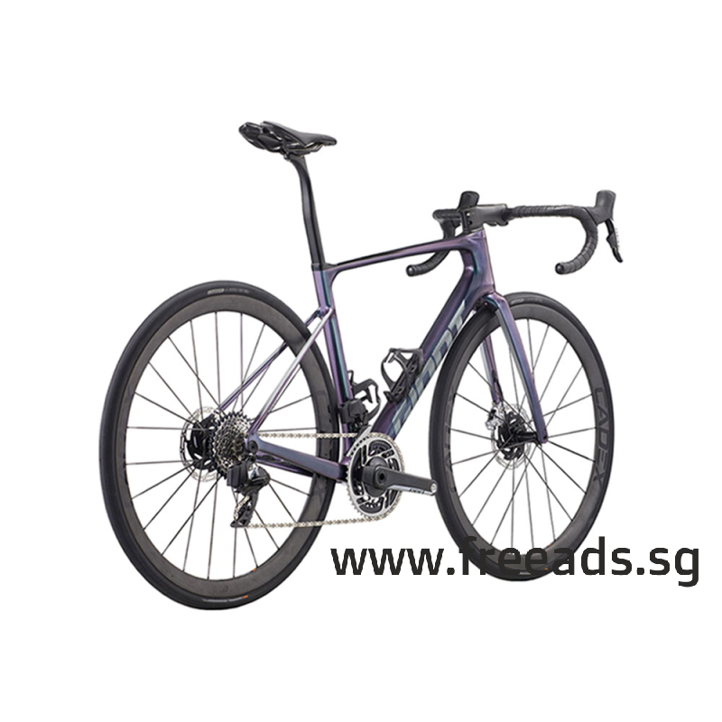 2024 Giant Defy Advanced SL 0 Road Bike ~ BIKOTIQUE