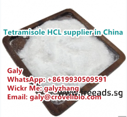 Tetramisole hydrochloride CAS:5086-74-8 whatsapp:+86 19930509591