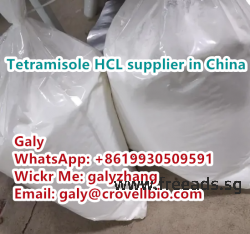 Tetramisole hydrochloride CAS:5086-74-8 supplier in China whatsapp:+86 19930509591