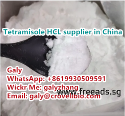 Tetramisole hydrochloride CAS:5086-74-8 supplier in China whatsapp:+86 19930509591