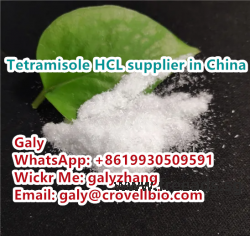 Tetramisole hydrochloride CAS:5086-74-8 supplier in China whatsapp:+86 19930509591