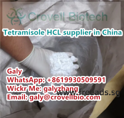 Tetramisole hydrochloride CAS:5086-74-8 supplier in China whatsapp:+86 19930509591