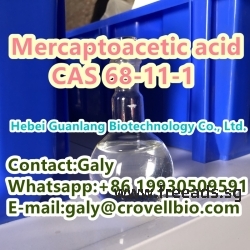 Mercaptoacetic acid CAS:68-11-1 suppliers in China whatsapp:+86 19930509591