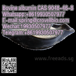 Bovine albumin CAS 9048-46-8 with best price and fast delivery +8619930507977