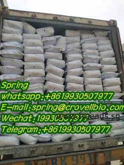 Bovine albumin CAS 9048-46-8 with best price and fast delivery +8619930507977