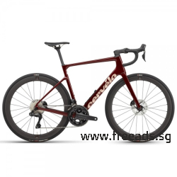 2025 Cervelo Caledonia-5 Ultegra Di2 Road Bike (ZONACYCLES)